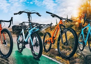 What is the difference between a mountain bike and a cruiser bike