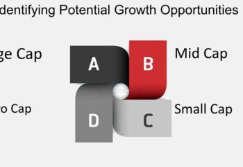 Which Tool Identifies Growth Opportunitie