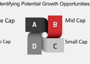 Which Tool Identifies Growth Opportunitie